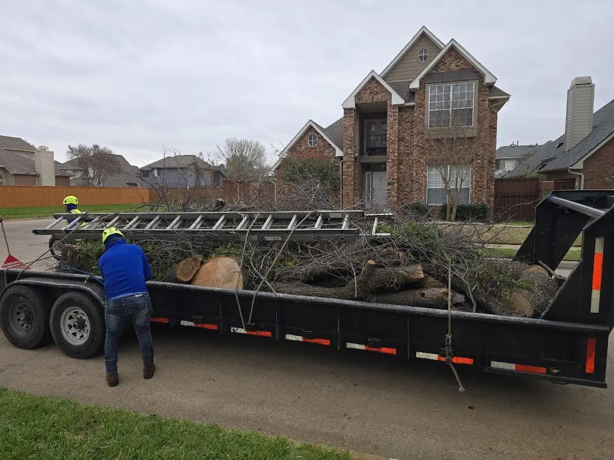 Expert Tree Removal with proper safety equipment in Joppa
